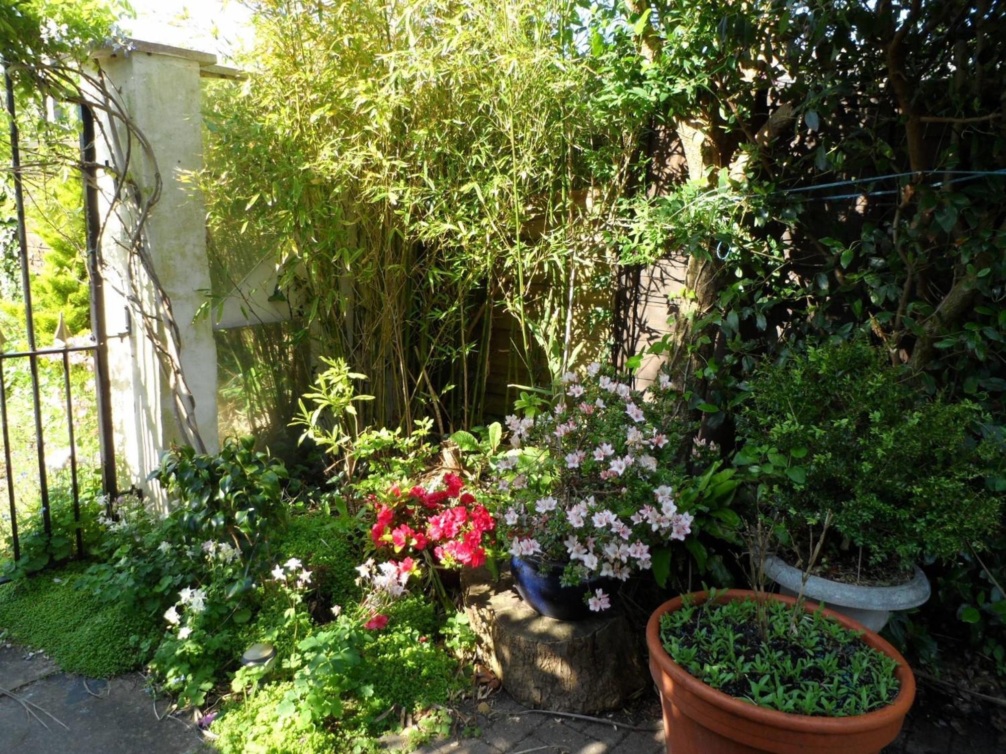 Galway Guest House Γουέιμουθ Εξωτερικό φωτογραφία