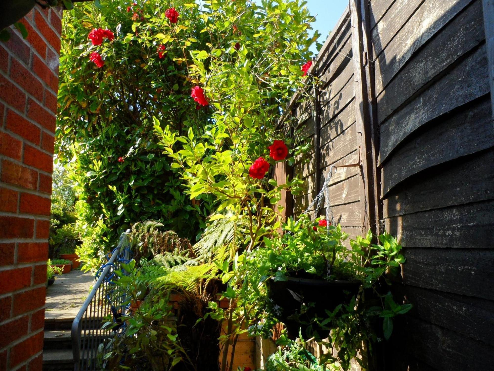 Galway Guest House Γουέιμουθ Εξωτερικό φωτογραφία